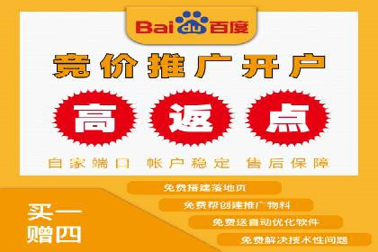 精准投放，高效转化——SEM竞价优化案例集